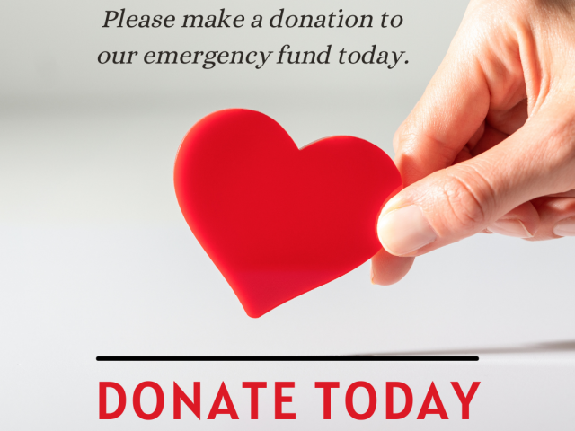 Donate Us  For Good - UBN  Welfare 🌟 Support UBN Welfare Trust – Help Us Help Those in Need 🤝